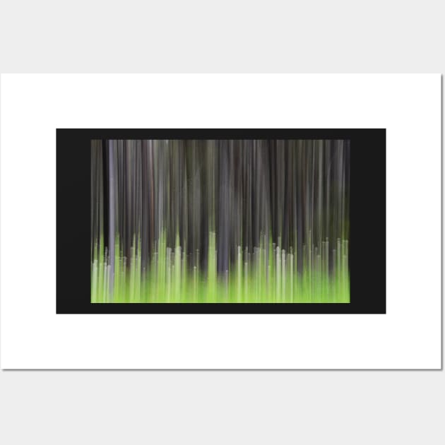 Forest Illusions- Lodgepole and Bear Grass Wall Art by Whisperingpeaks